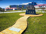 铜陵天华矿业集团